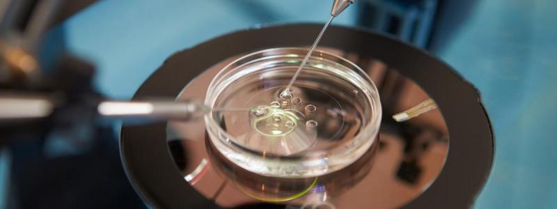 Segundo STJ, plano de saúde não é obrigado a custear fertilização in vitro