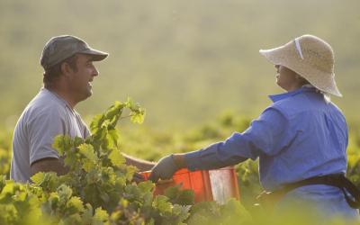 Grupo que demitiu trabalhador por crises de epilepsia é condenado