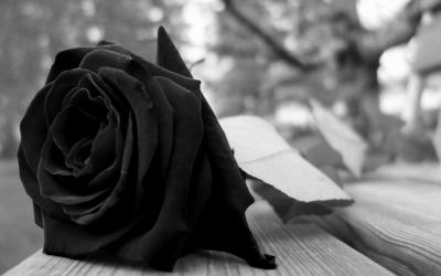 Ex-mulher e viúva terão que dividir pensão por morte do falecido