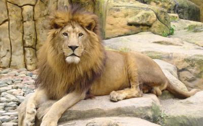 Receita abrirá consulta ao quinto lote da restituição do IR 2014/2015