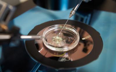 Segundo STJ, plano de saúde não é obrigado a custear fertilização in vitro